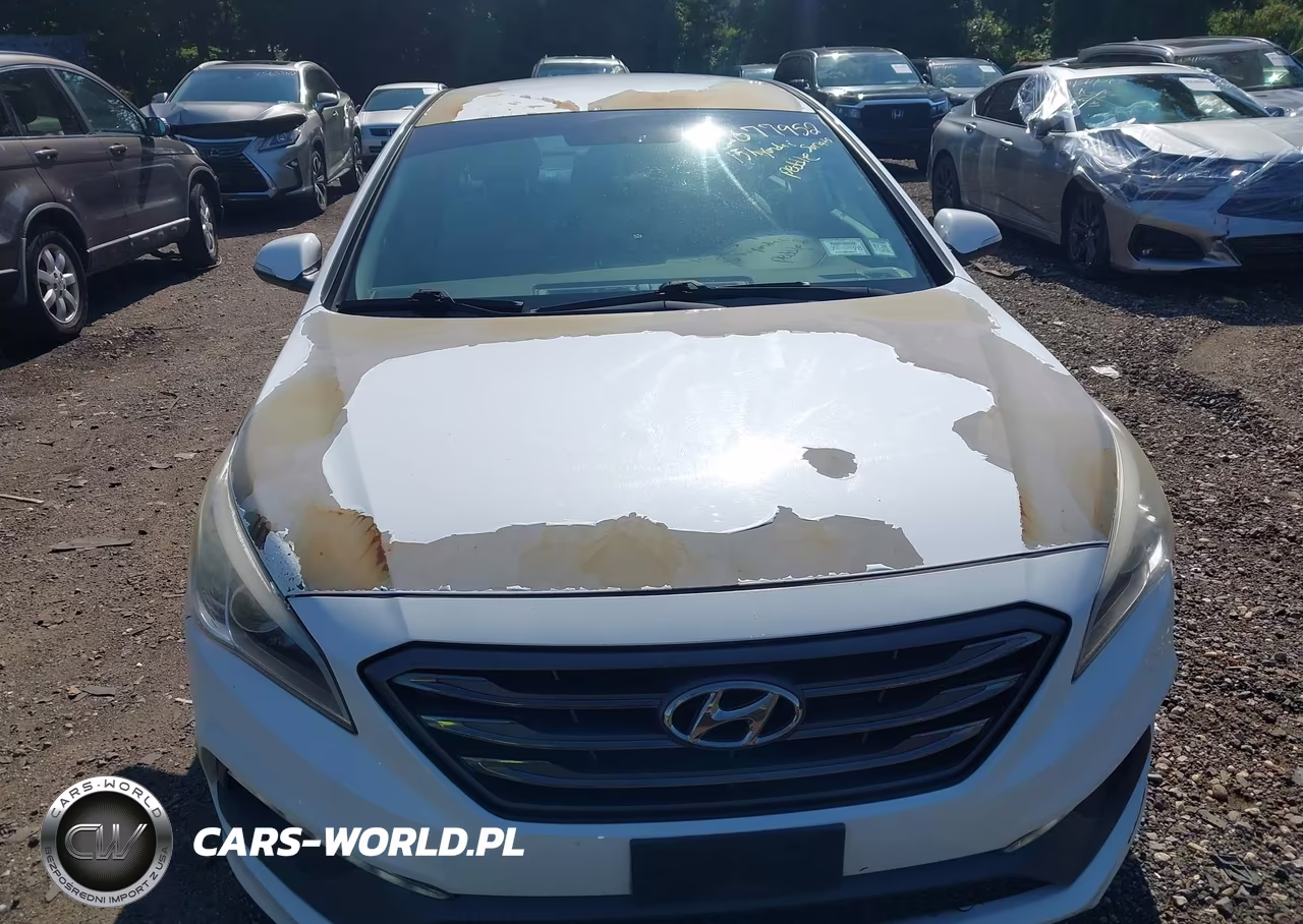 2015 Hyundai Sonata Sport VIN:5NPE34AF6FH075336 - 6