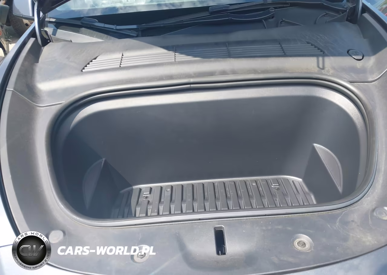 2023 Tesla Model Y Performance Dual Motor All-Wheel Drive VIN:7SAYGDEF2PF808948 - 10