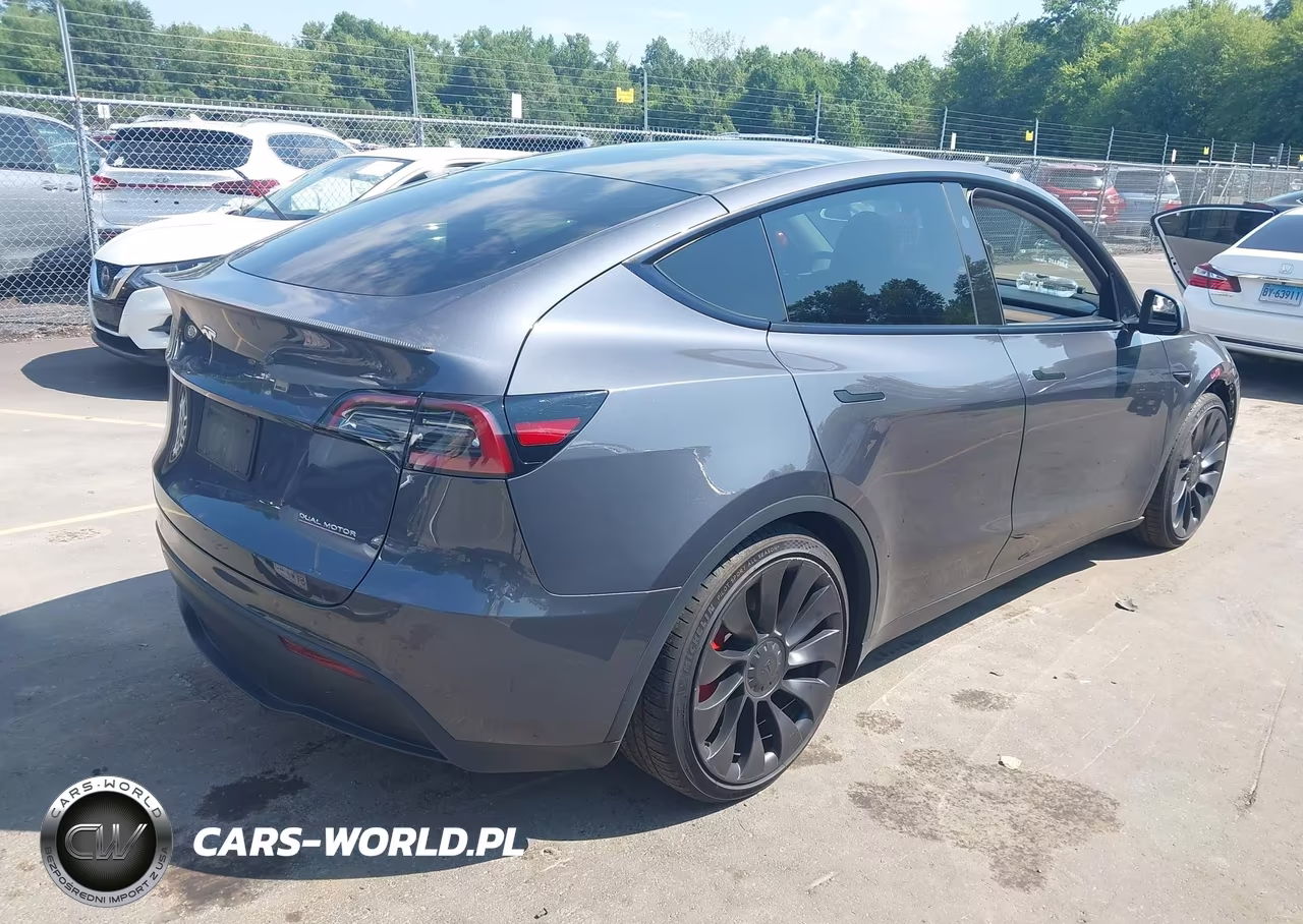 2023 Tesla Model Y Performance Dual Motor All-Wheel Drive VIN:7SAYGDEF2PF808948 - 4