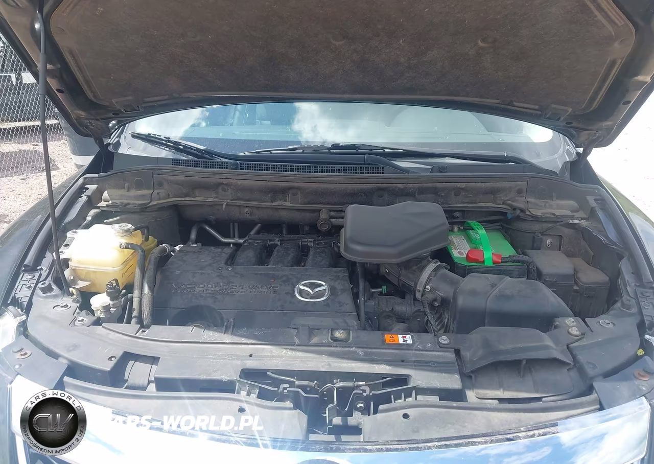 2011 Mazda Cx-9 Grand Touring VIN:JM3TB3DA4B0316460 - 10