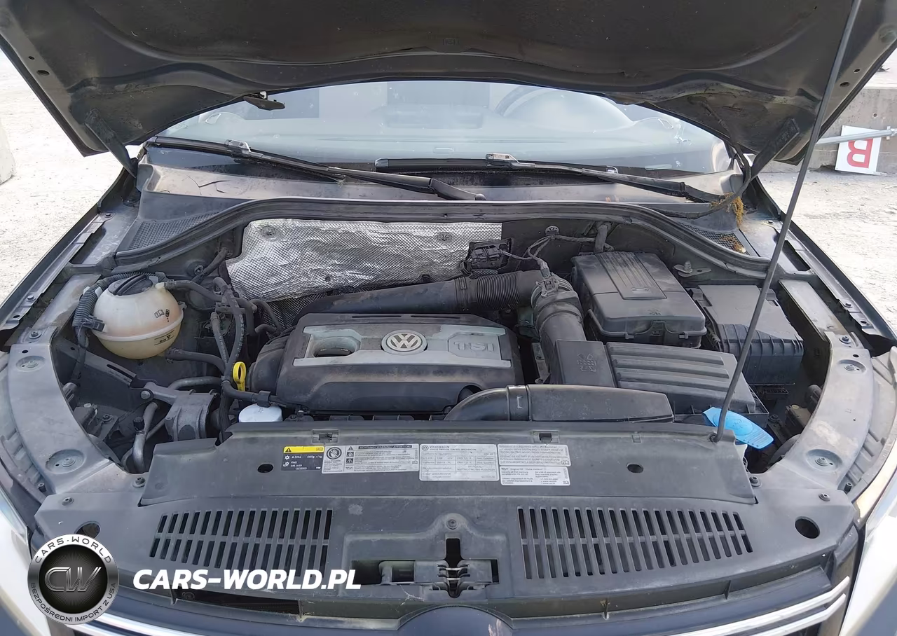 2016 Volkswagen Tiguan S VIN:WVGBV7AXXGW029961 - 10