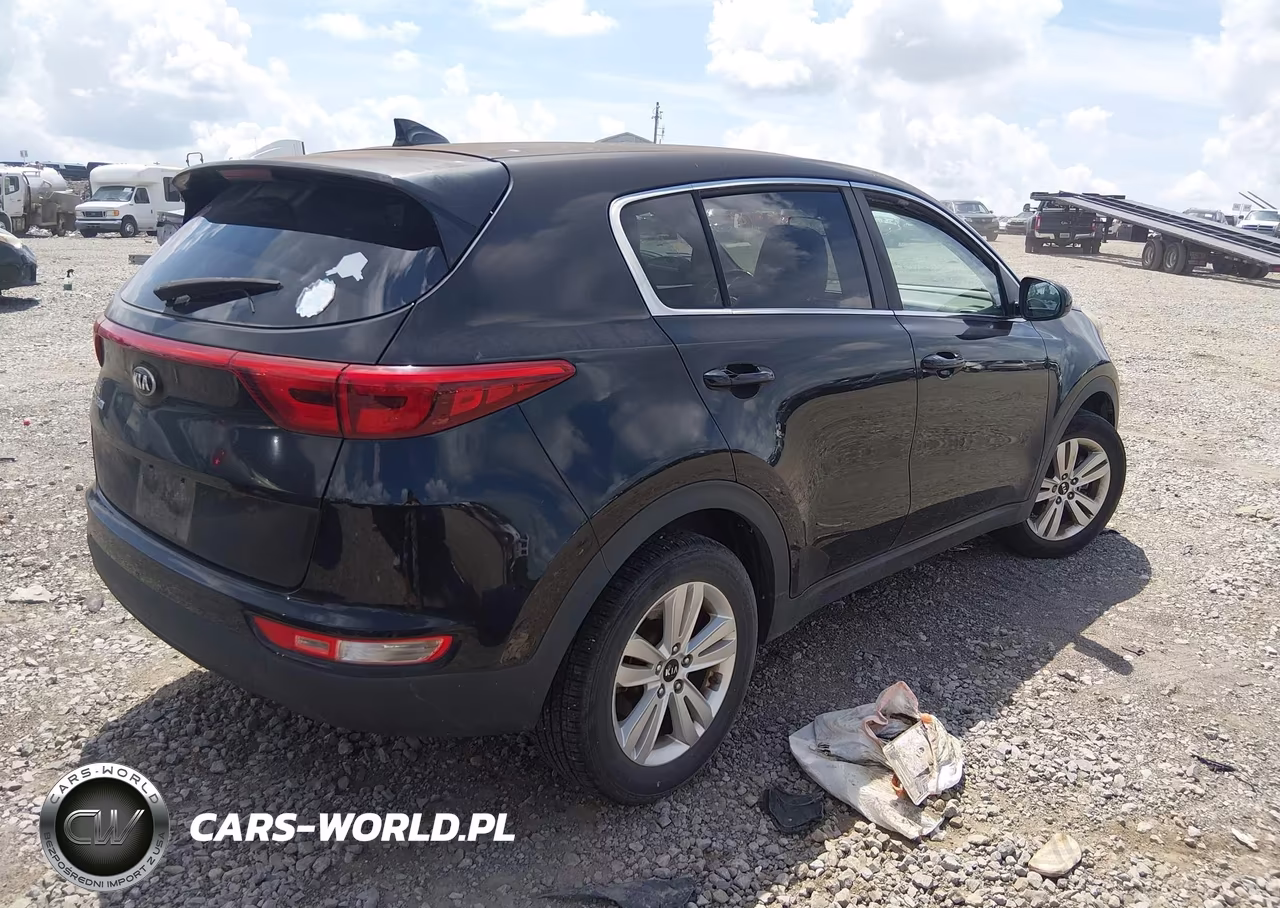 2017 Kia Sportage Lx VIN:KNDPM3AC6H7119199 - 4