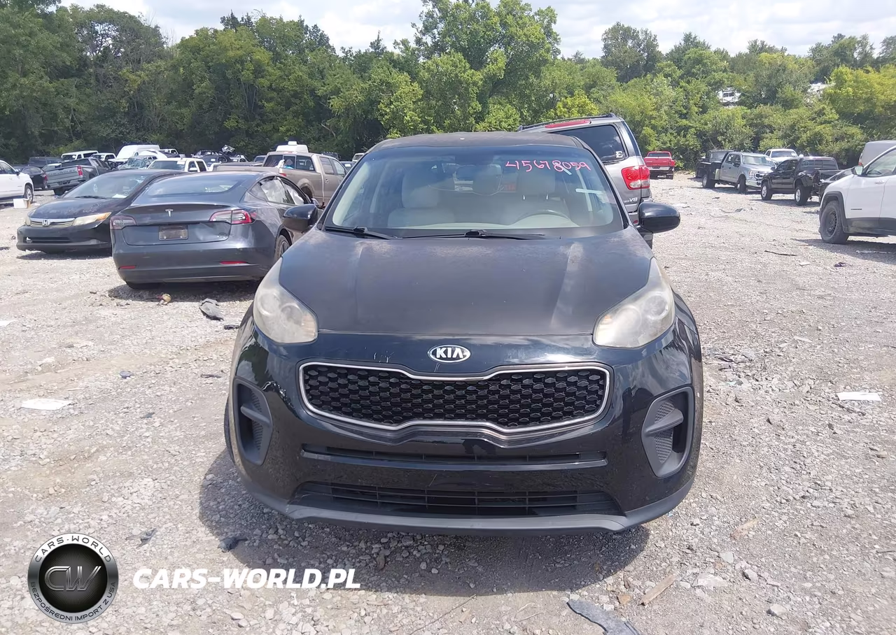 2017 Kia Sportage Lx VIN:KNDPM3AC6H7119199 - 6