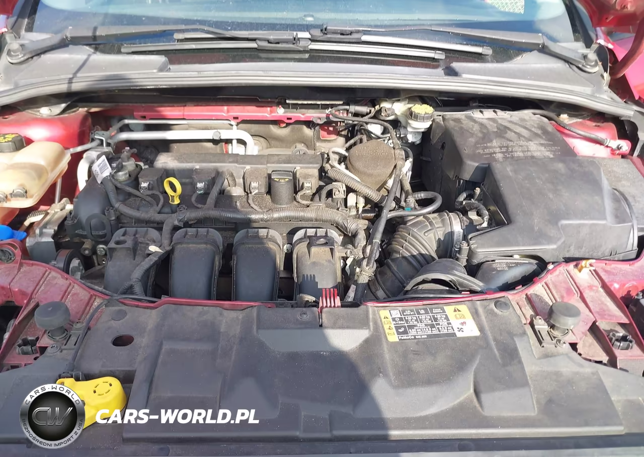 2016 Ford Focus Se VIN:1FADP3F28GL261706 - 10