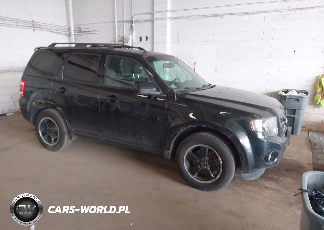 2011 Ford Escape Xlt