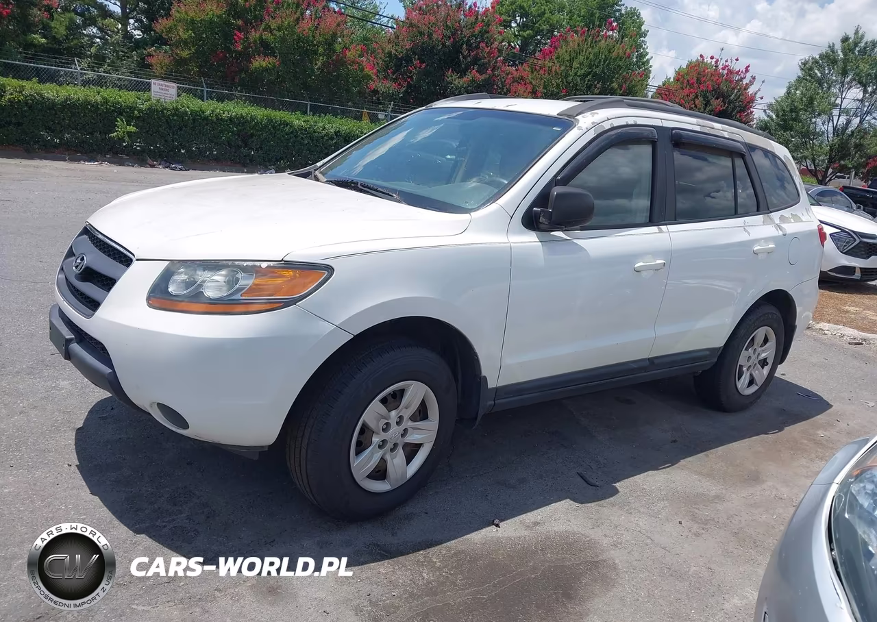 2009 Hyundai Santa Fe Gls VIN:5NMSG13D29H306042 - 2