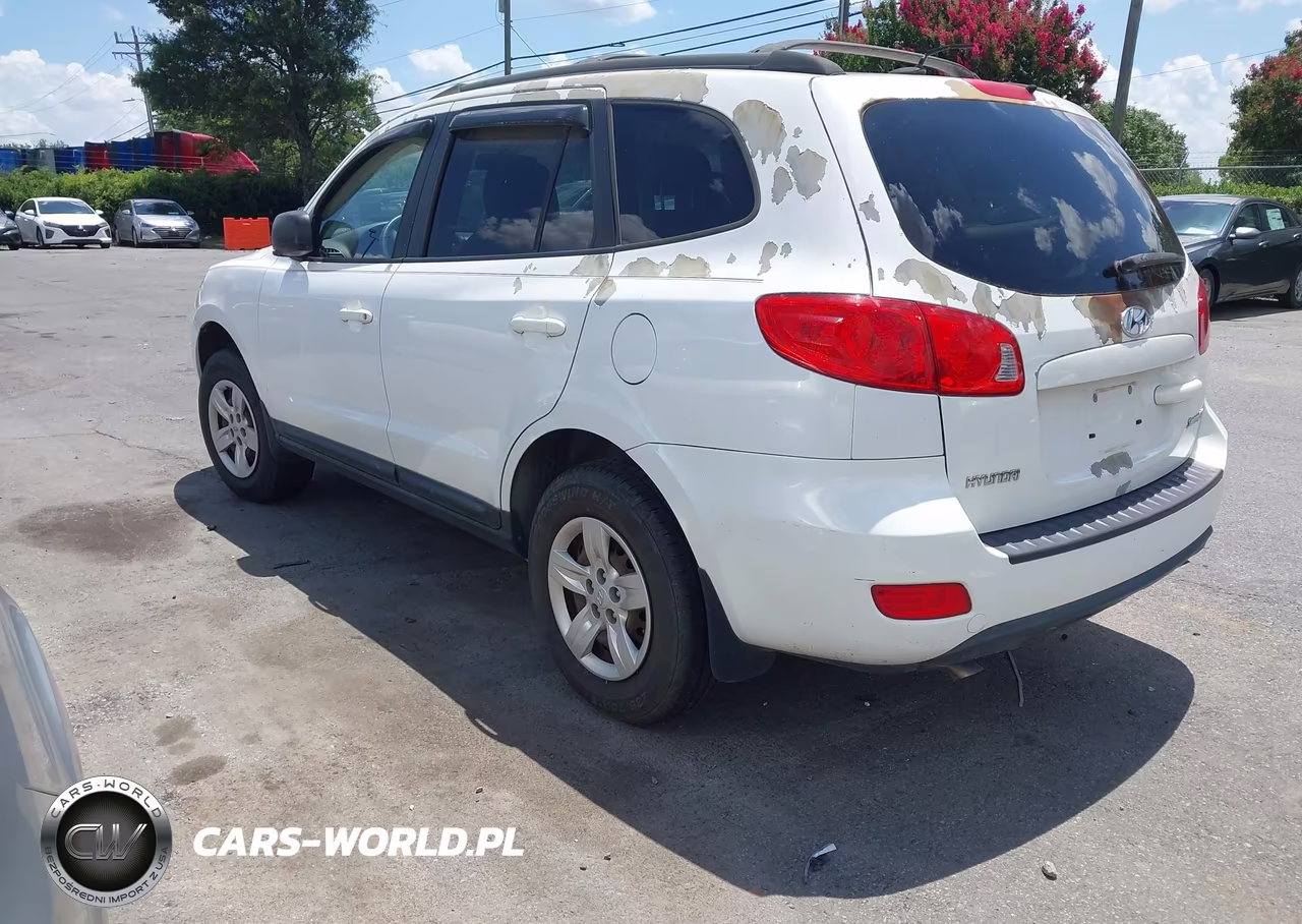 2009 Hyundai Santa Fe Gls VIN:5NMSG13D29H306042 - 3