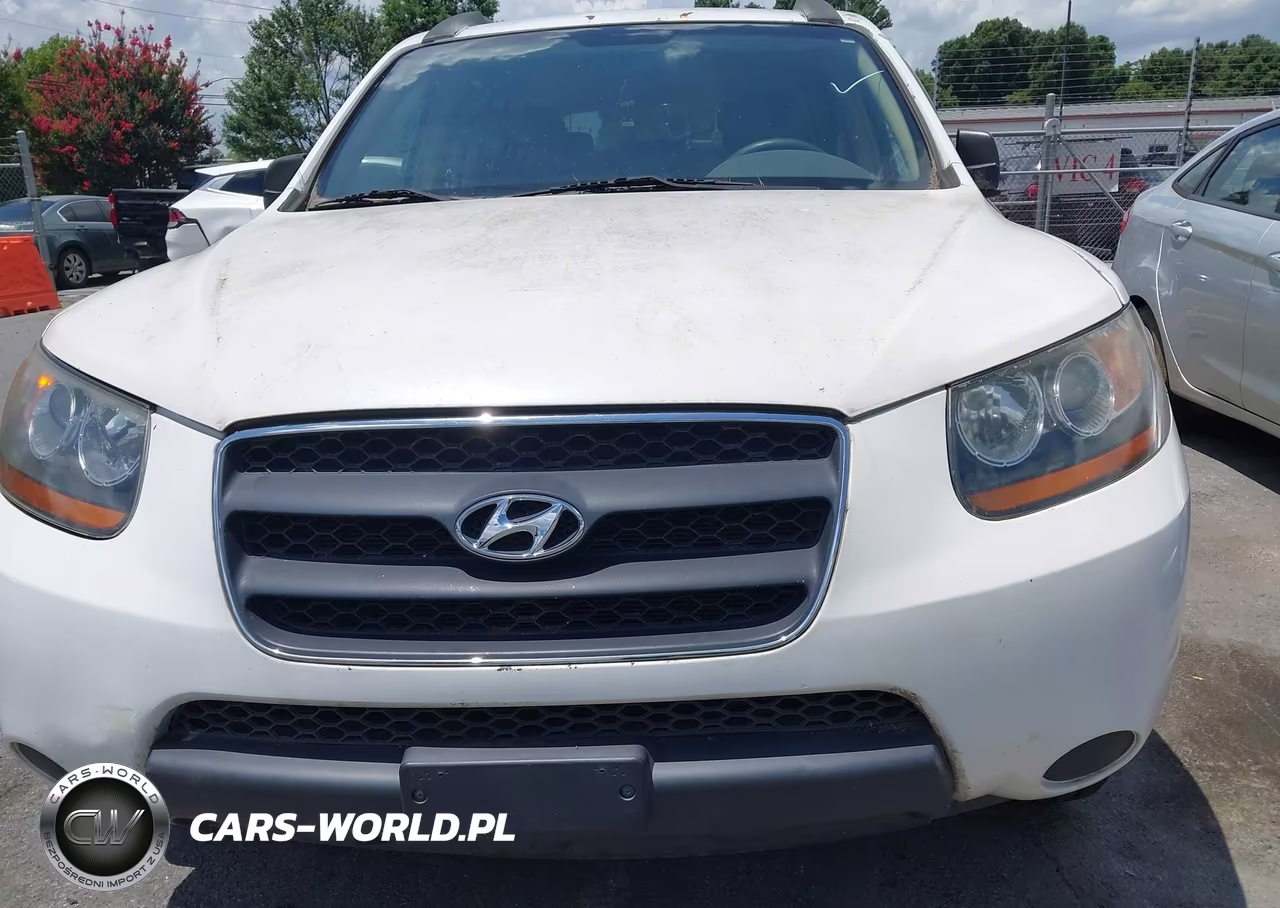 2009 Hyundai Santa Fe Gls VIN:5NMSG13D29H306042 - 6