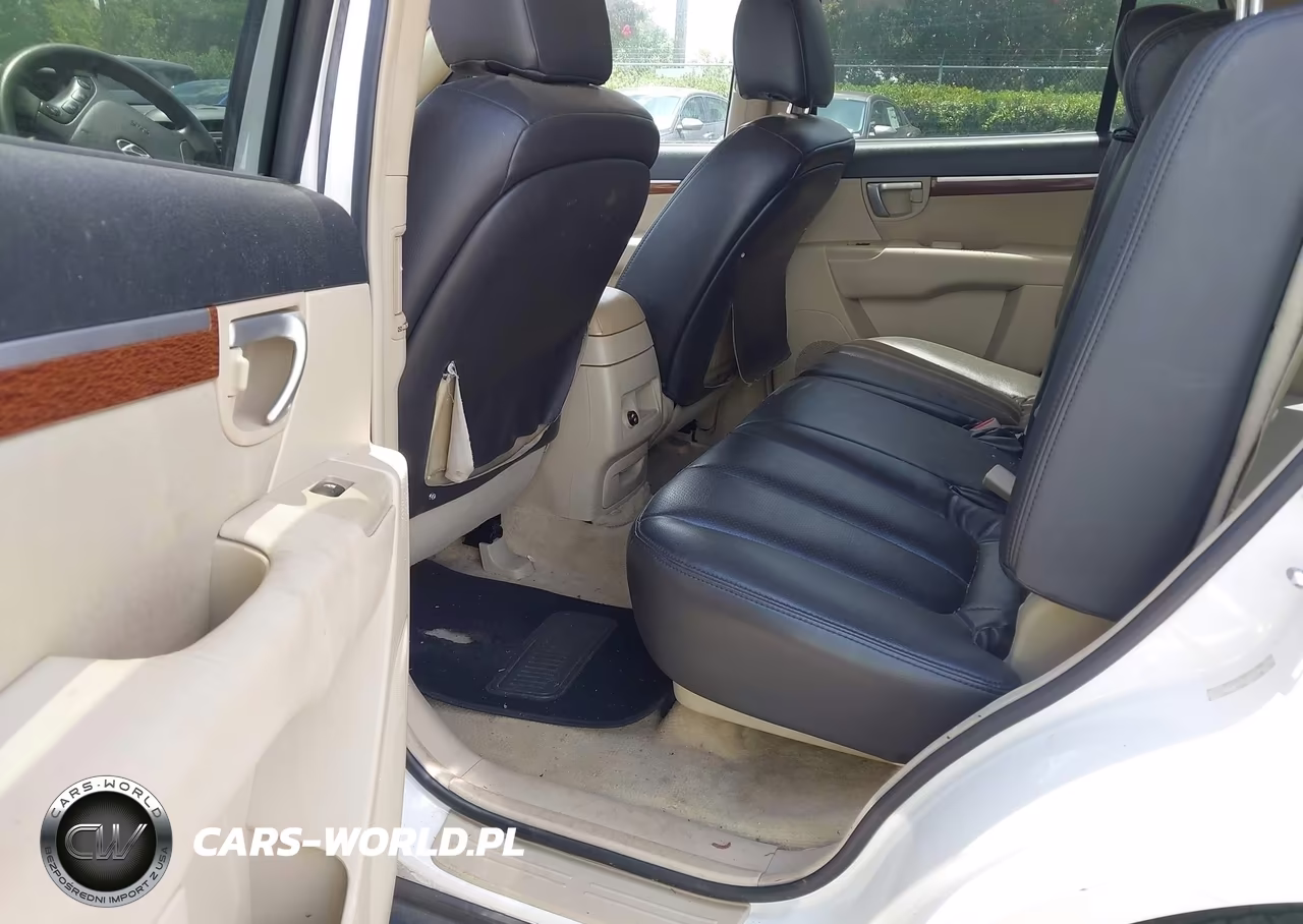 2009 Hyundai Santa Fe Gls VIN:5NMSG13D29H306042 - 8