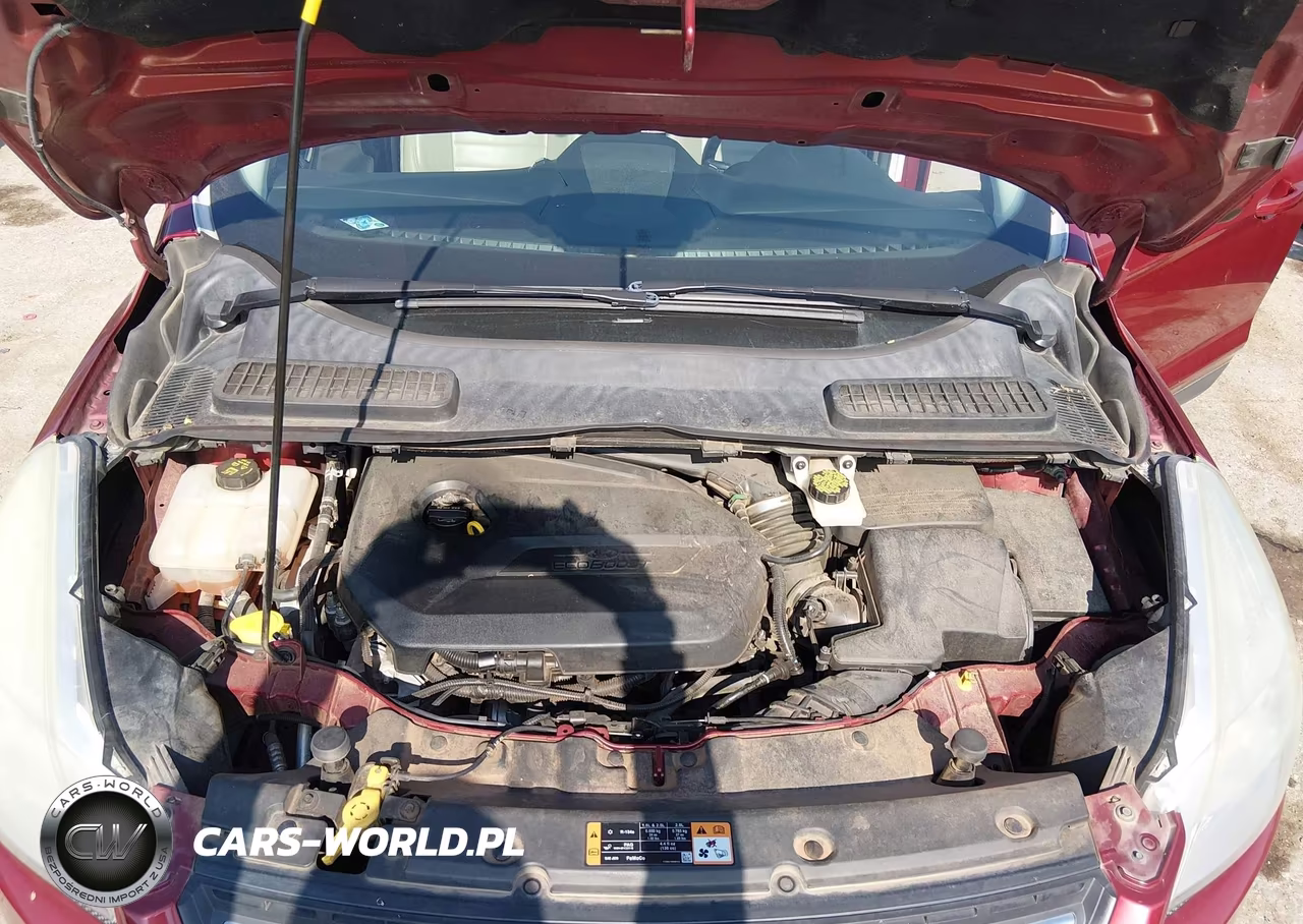 2014 Ford Escape Se VIN:1FMCU0GX0EUC44537 - 10