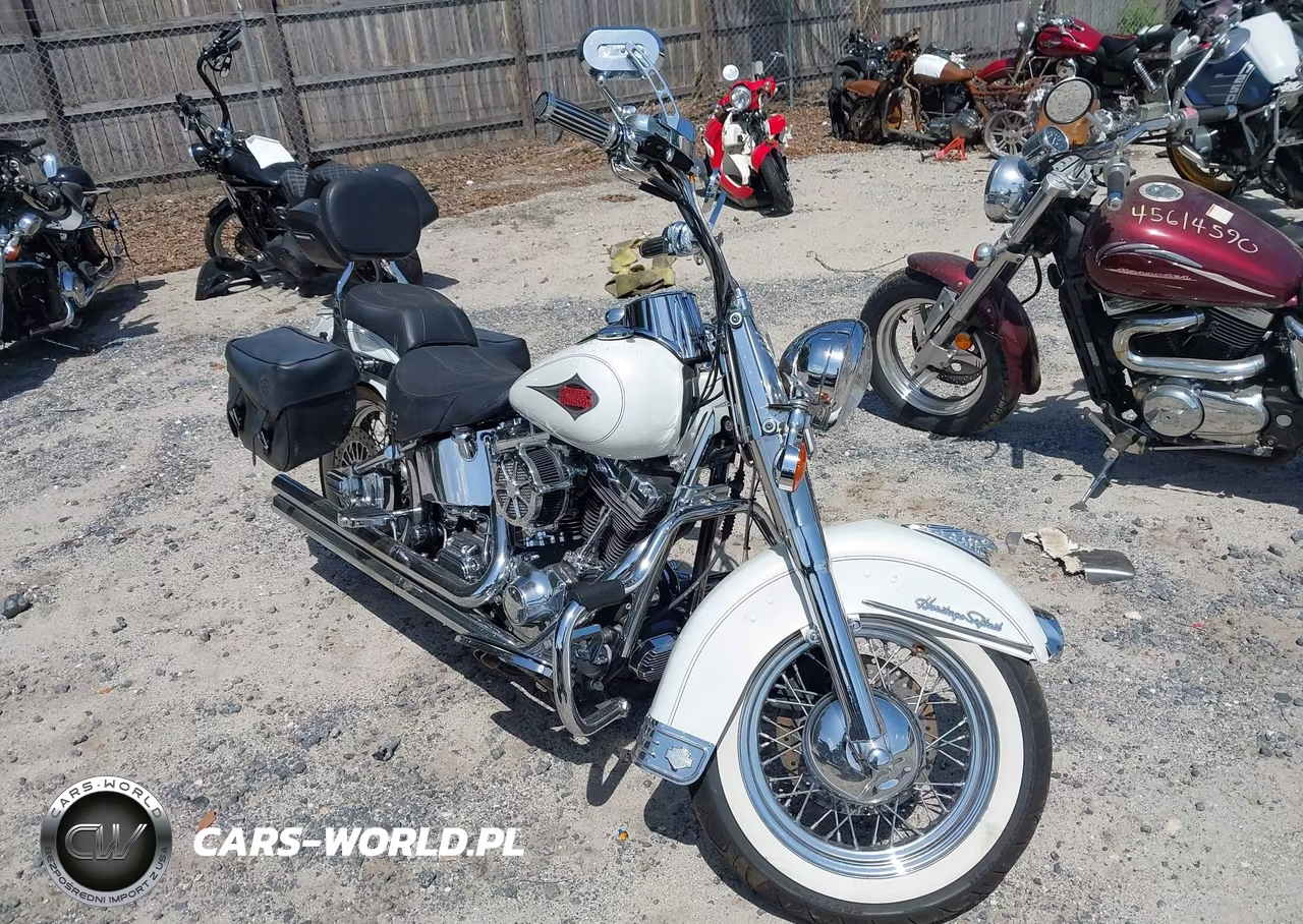 2001 Harley-Davidson Flstc