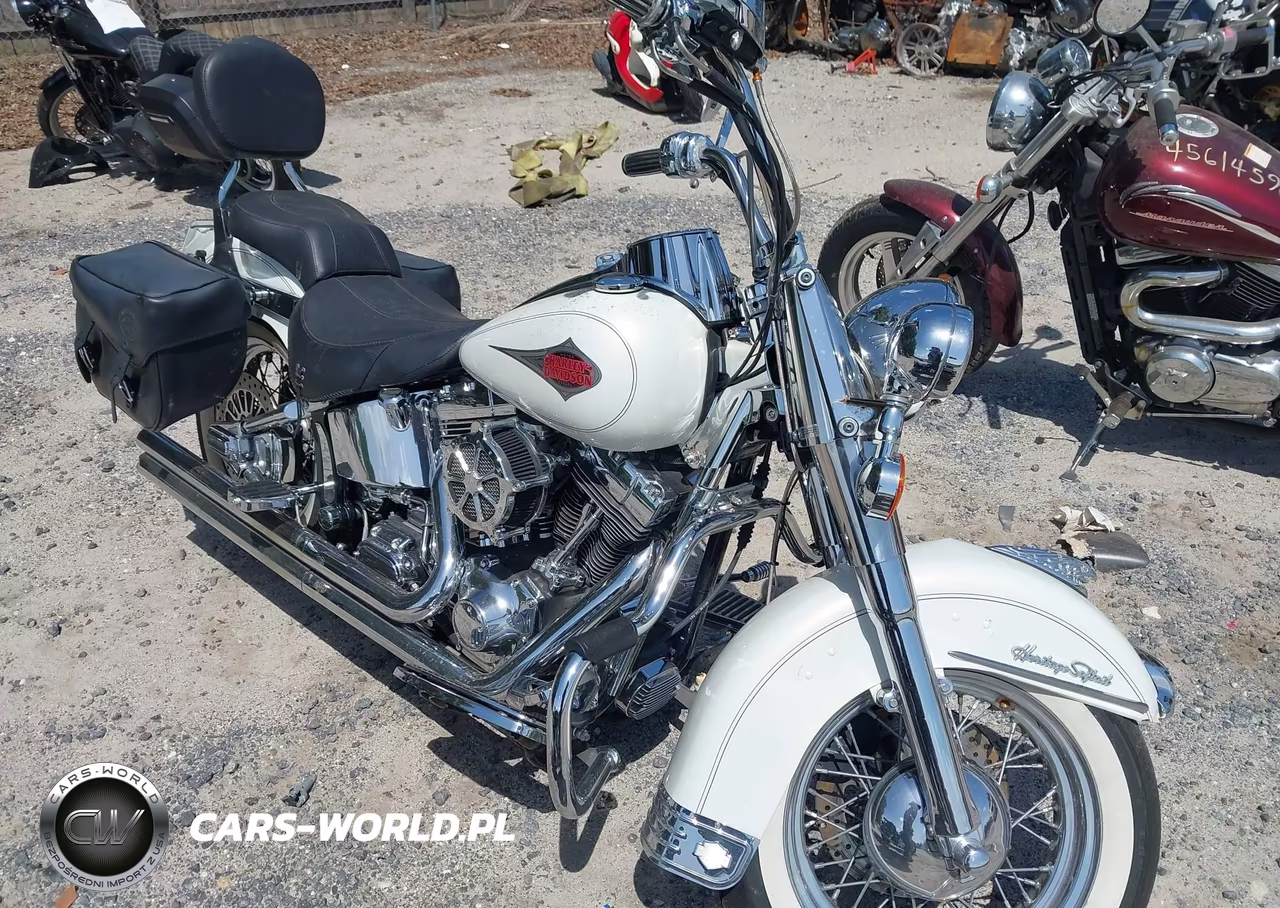 2001 Harley-Davidson Flstc VIN:1HD1BJY191Y022341 - 11