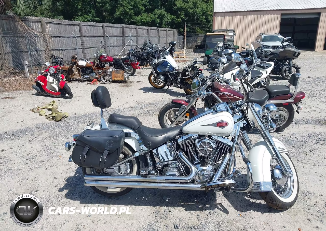 2001 Harley-Davidson Flstc VIN:1HD1BJY191Y022341 - 12