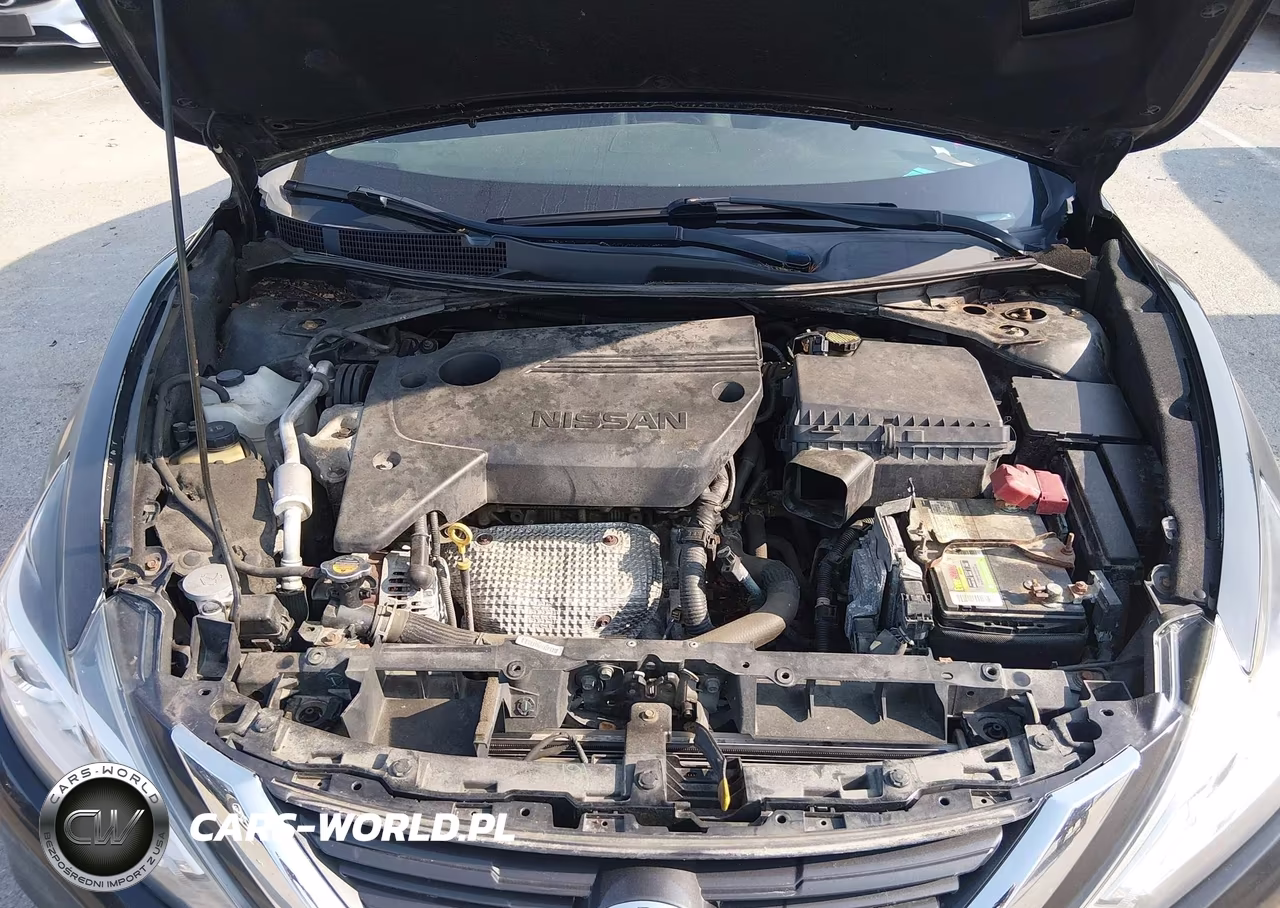 2016 Nissan Altima 2.5 Sv VIN:1N4AL3AP3GC266698 - 10