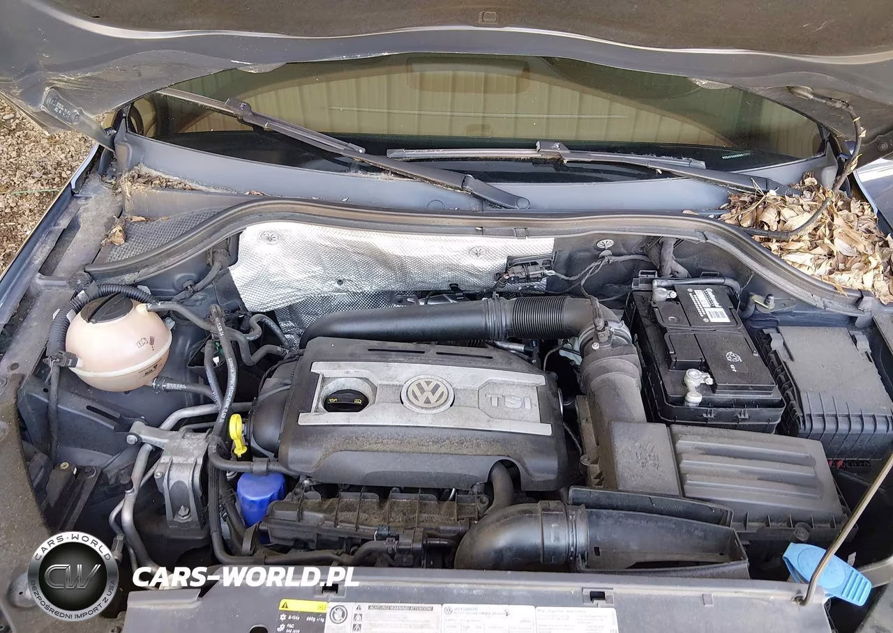 2014 Volkswagen Tiguan S VIN:WVGAV3AX0EW617711 - 10