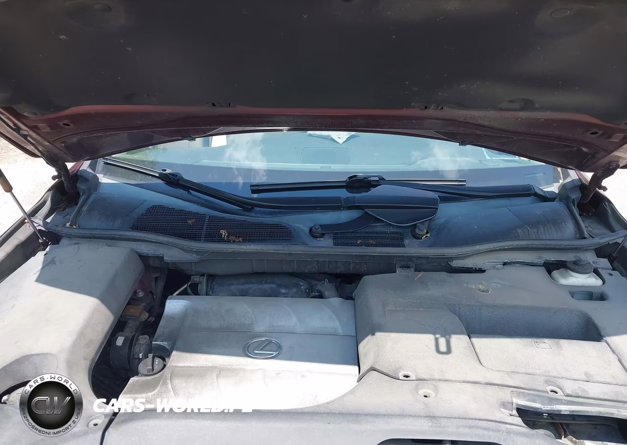 2013 Lexus Rx 350 VIN:2T2BK1BA2DC195248 - 10