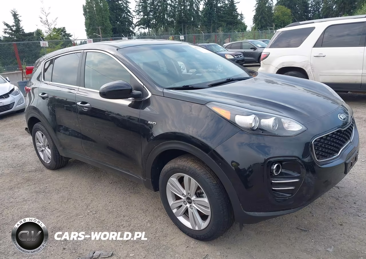 2017 Kia Sportage Lx VIN:KNDPMCAC1H7260262 - 1