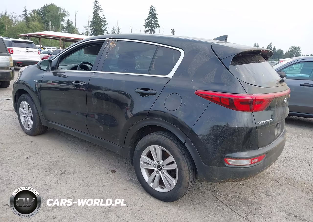 2017 Kia Sportage Lx VIN:KNDPMCAC1H7260262 - 3