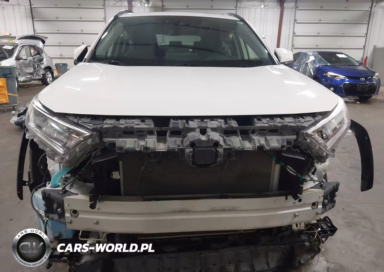 2019 Toyota Rav4 Xle VIN:JTMP1RFV4KD031024 - 13
