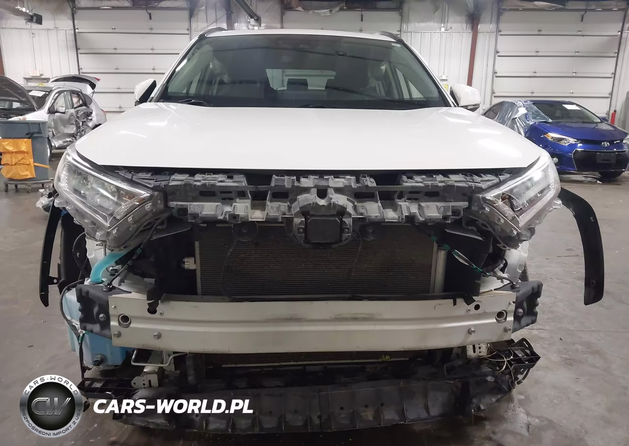 2019 Toyota Rav4 Xle VIN:JTMP1RFV4KD031024 - 6