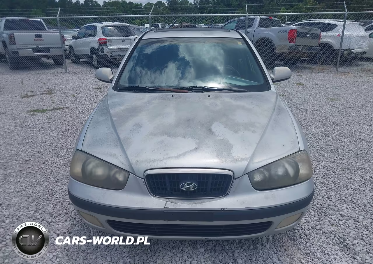 2003 Hyundai Elantra Gt VIN:KMHDN55D13U100998 - 6