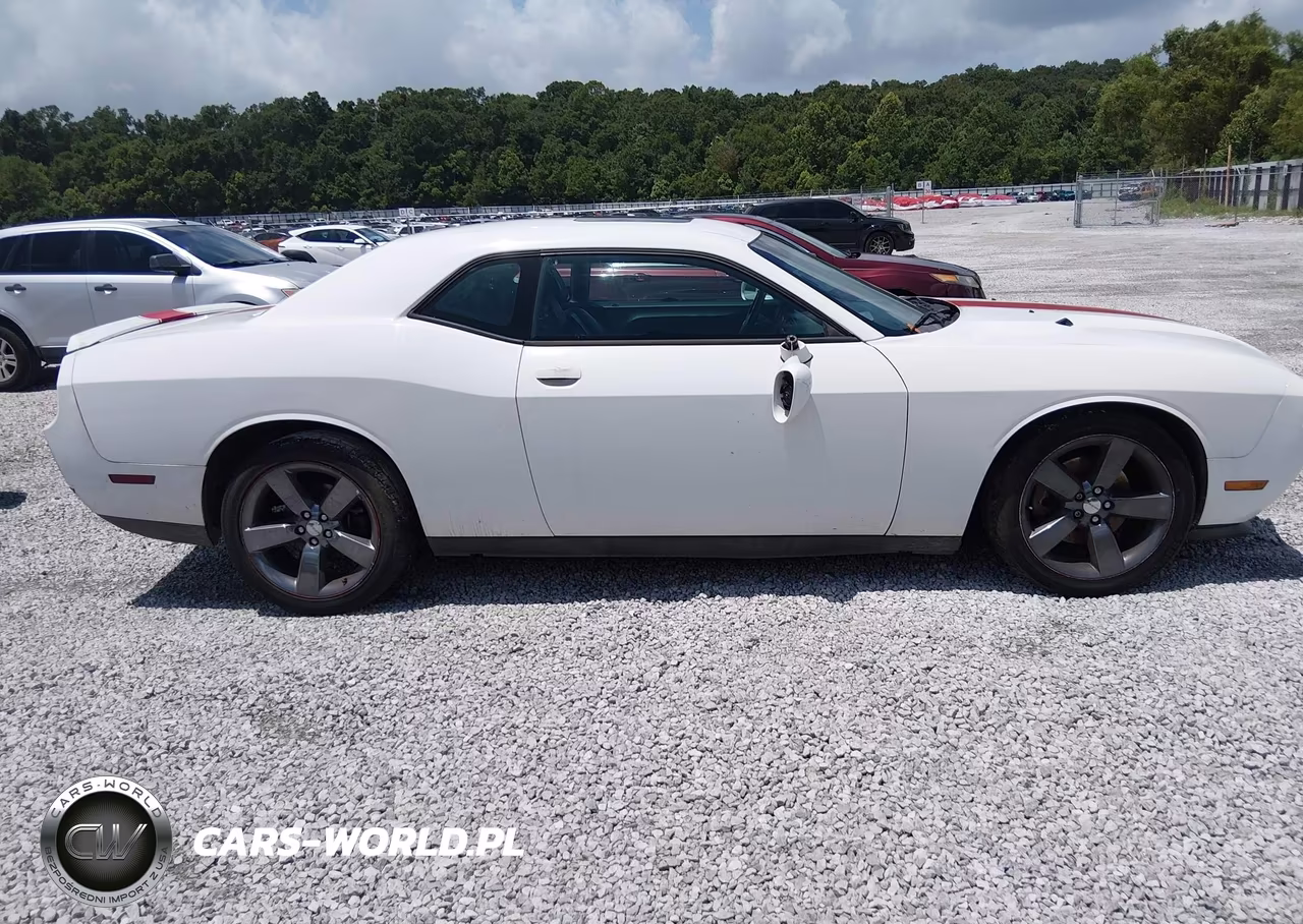 2014 Dodge Challenger Rallye Redline VIN:2C3CDYAG2EH158701 - 13