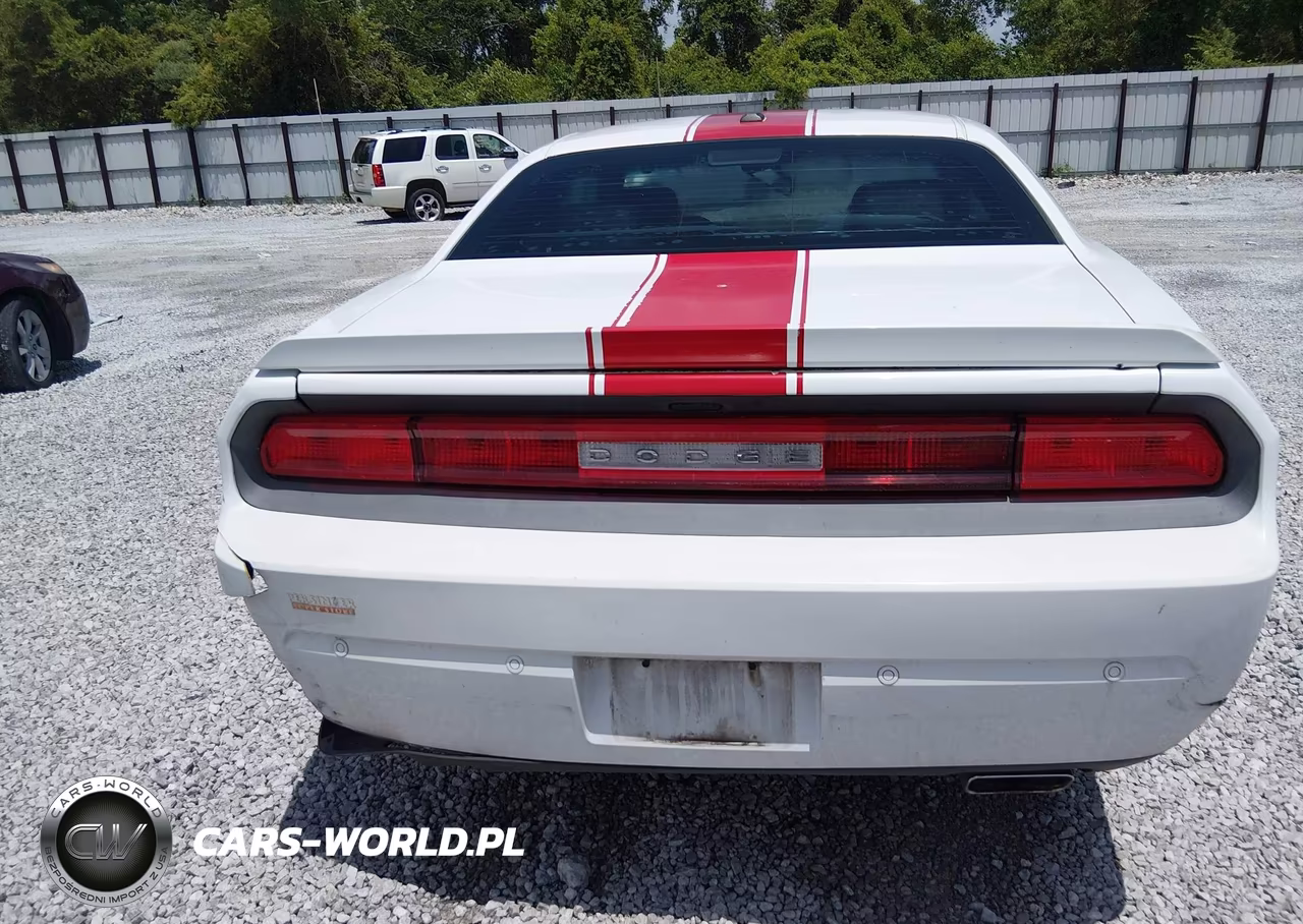 2014 Dodge Challenger Rallye Redline VIN:2C3CDYAG2EH158701 - 16