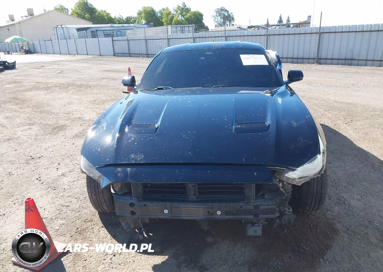 2021 Ford Mustang Gt Premium Fastback VIN:1FA6P8CF3M5117820 - 13
