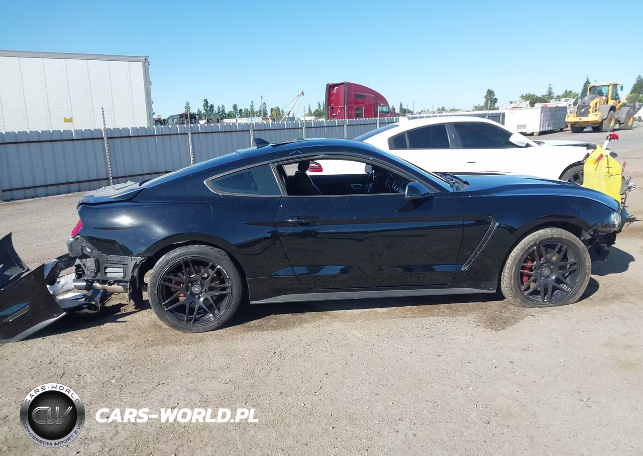 2021 Ford Mustang Gt Premium Fastback VIN:1FA6P8CF3M5117820 - 14