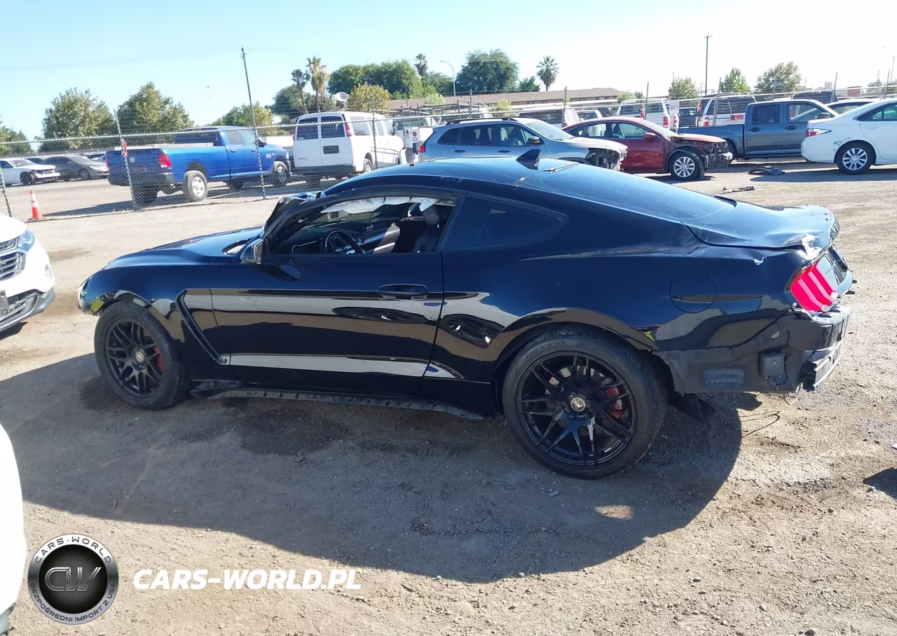 2021 Ford Mustang Gt Premium Fastback VIN:1FA6P8CF3M5117820 - 15