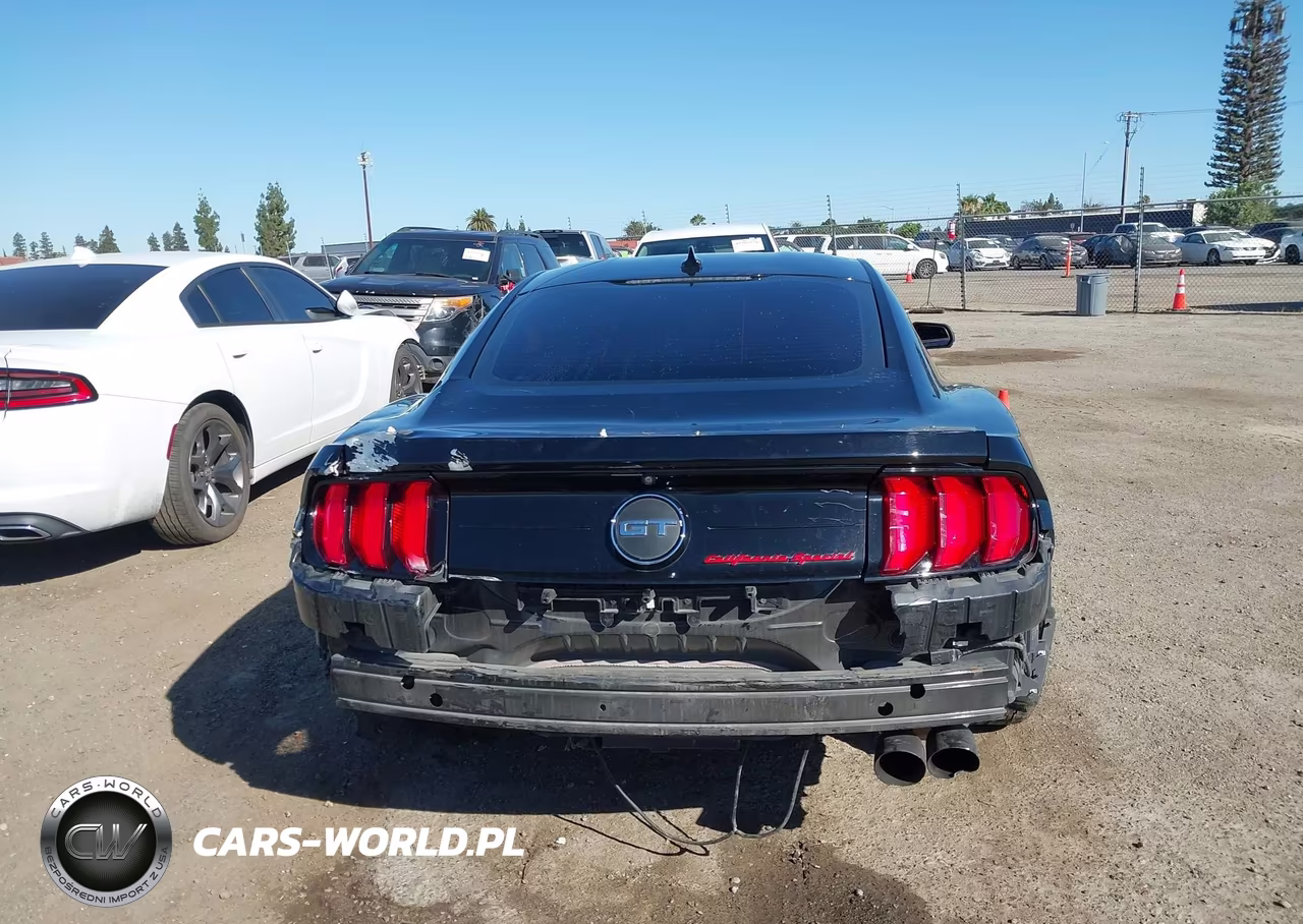 2021 Ford Mustang Gt Premium Fastback VIN:1FA6P8CF3M5117820 - 17