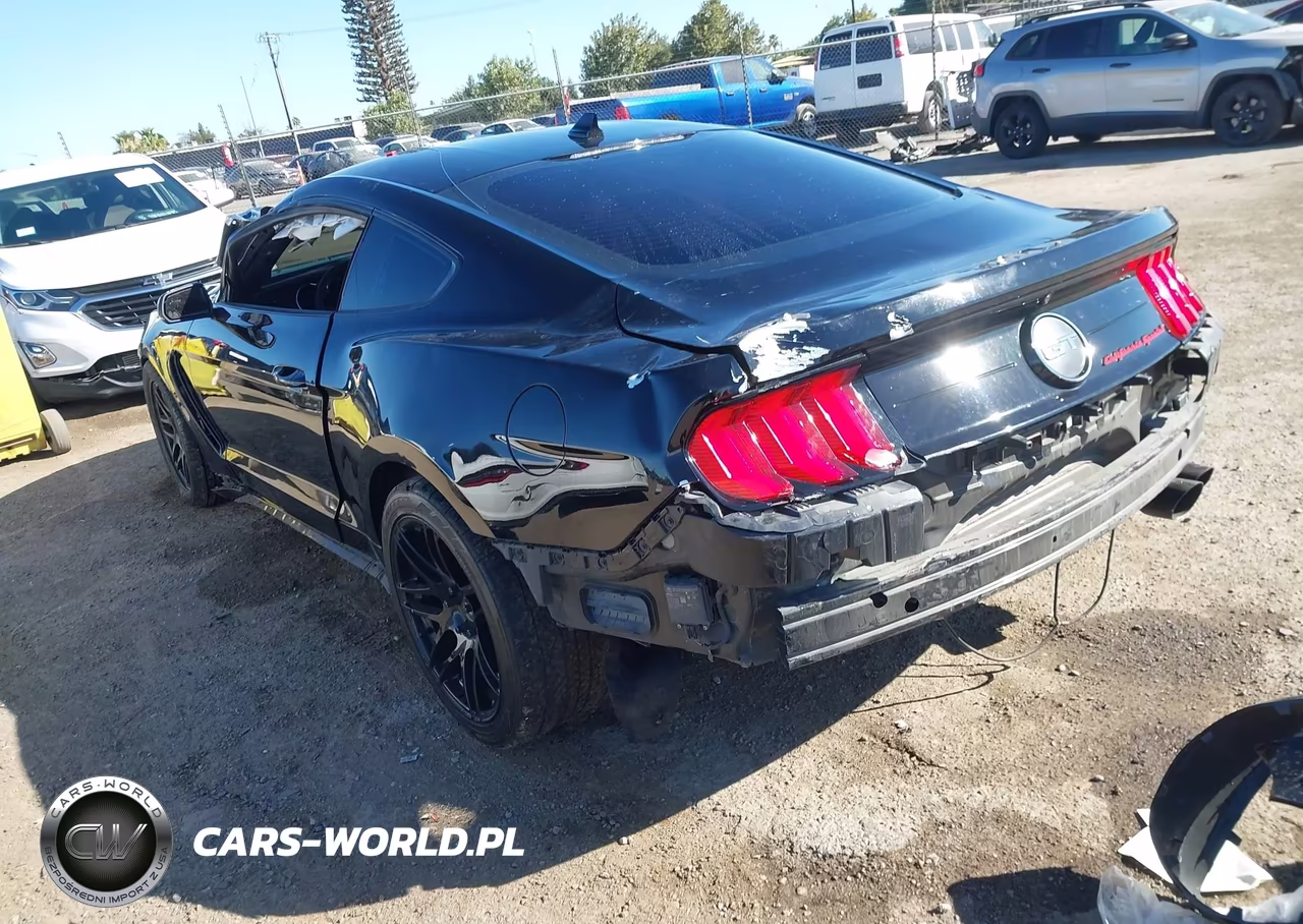 2021 Ford Mustang Gt Premium Fastback VIN:1FA6P8CF3M5117820 - 3