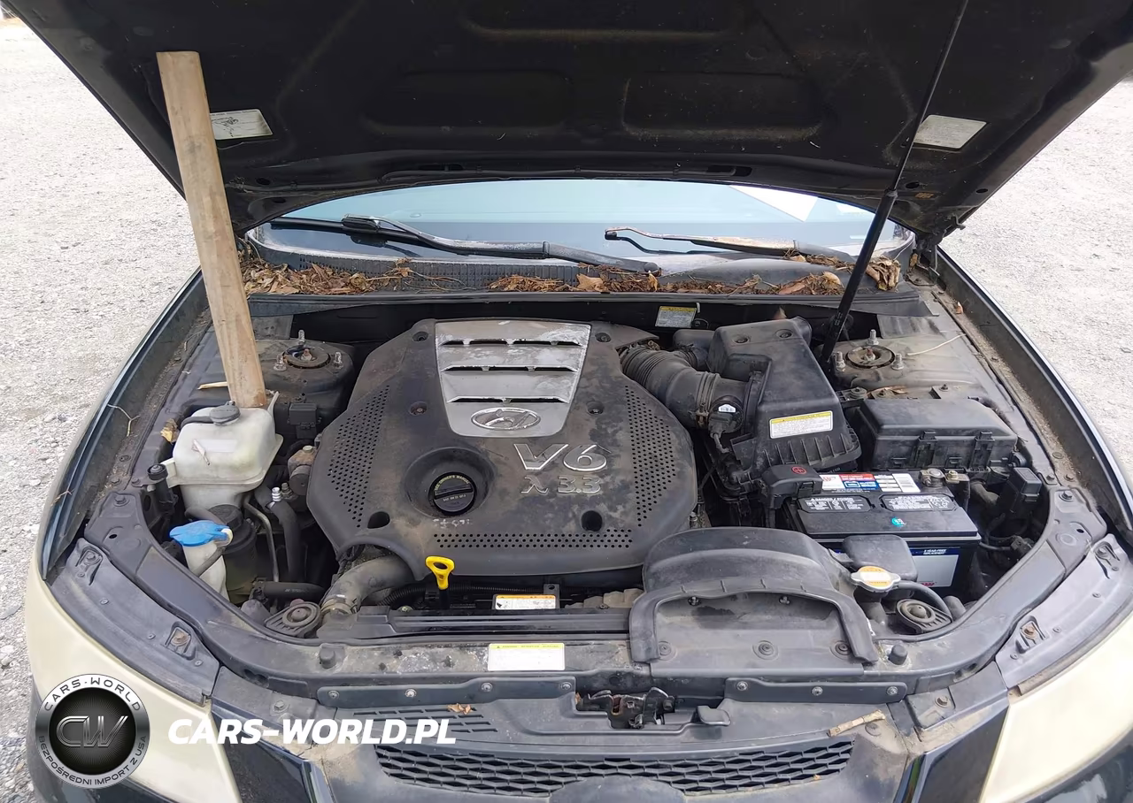 2006 Hyundai Sonata Gls V6-Lx V6 VIN:5NPEU46F66H006099 - 10