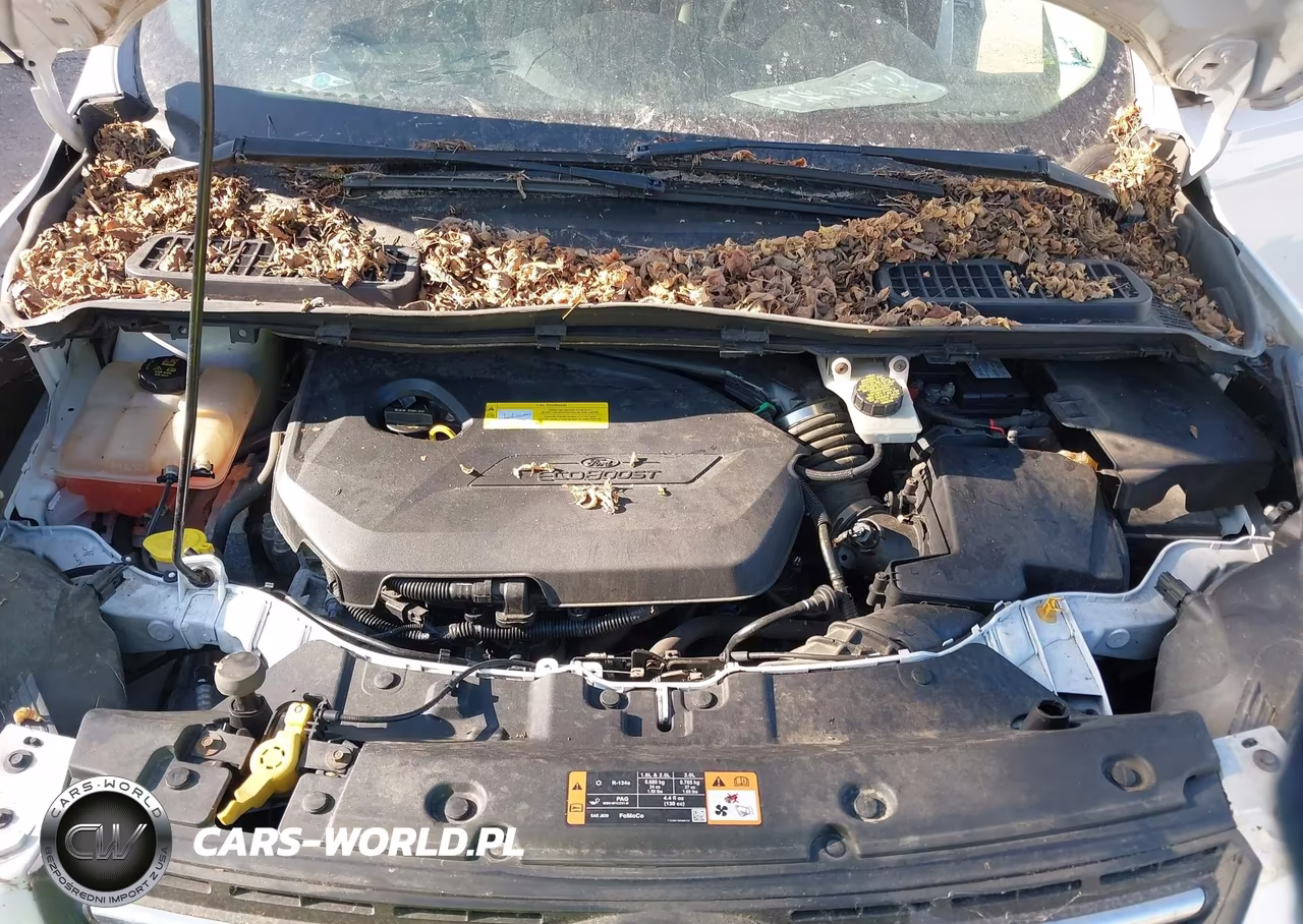 2015 Ford Escape Se VIN:1FMCU9GX1FUB87447 - 10