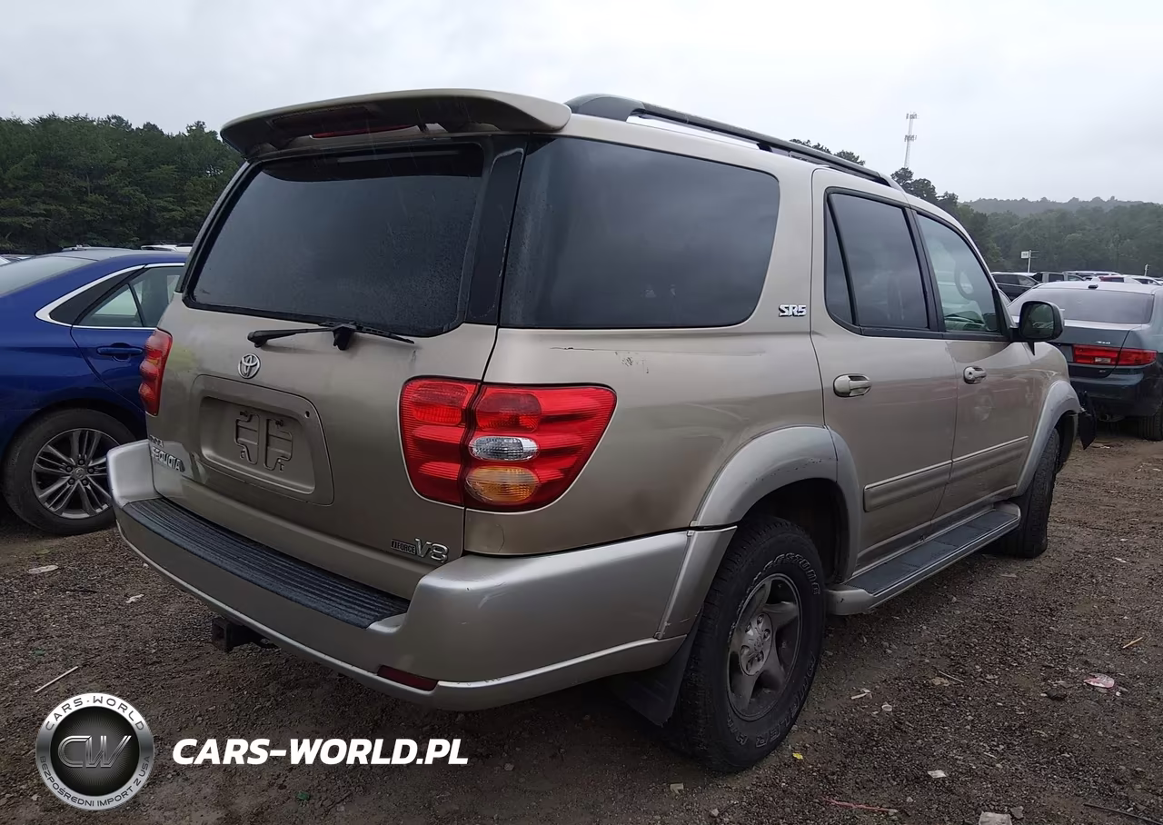 2002 Toyota Sequoia Sr5 V8 VIN:5TDZT34A42S070393 - 4
