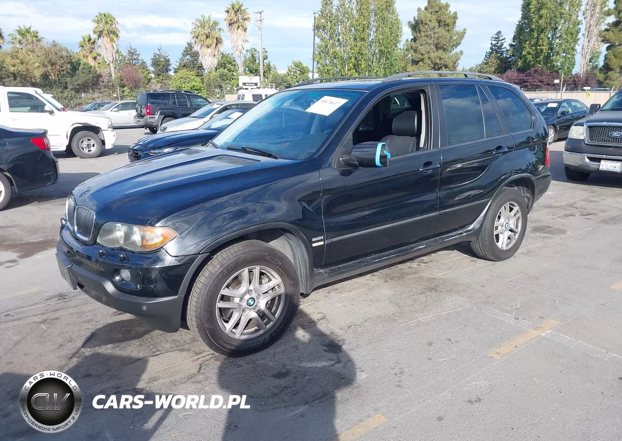 2005 BMW X5 3.0I VIN:5UXFA13565LY15456 - 2
