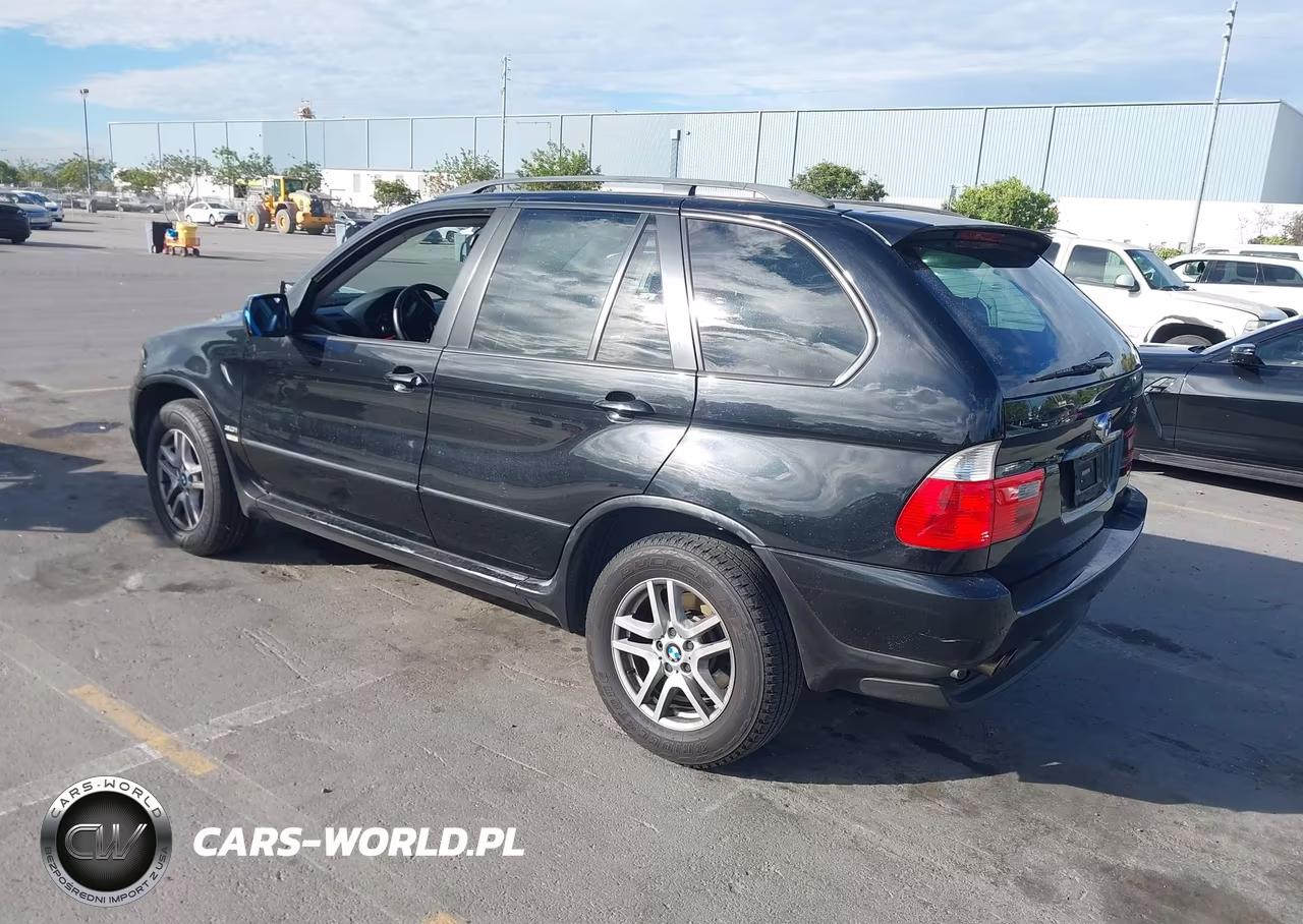 2005 BMW X5 3.0I VIN:5UXFA13565LY15456 - 3