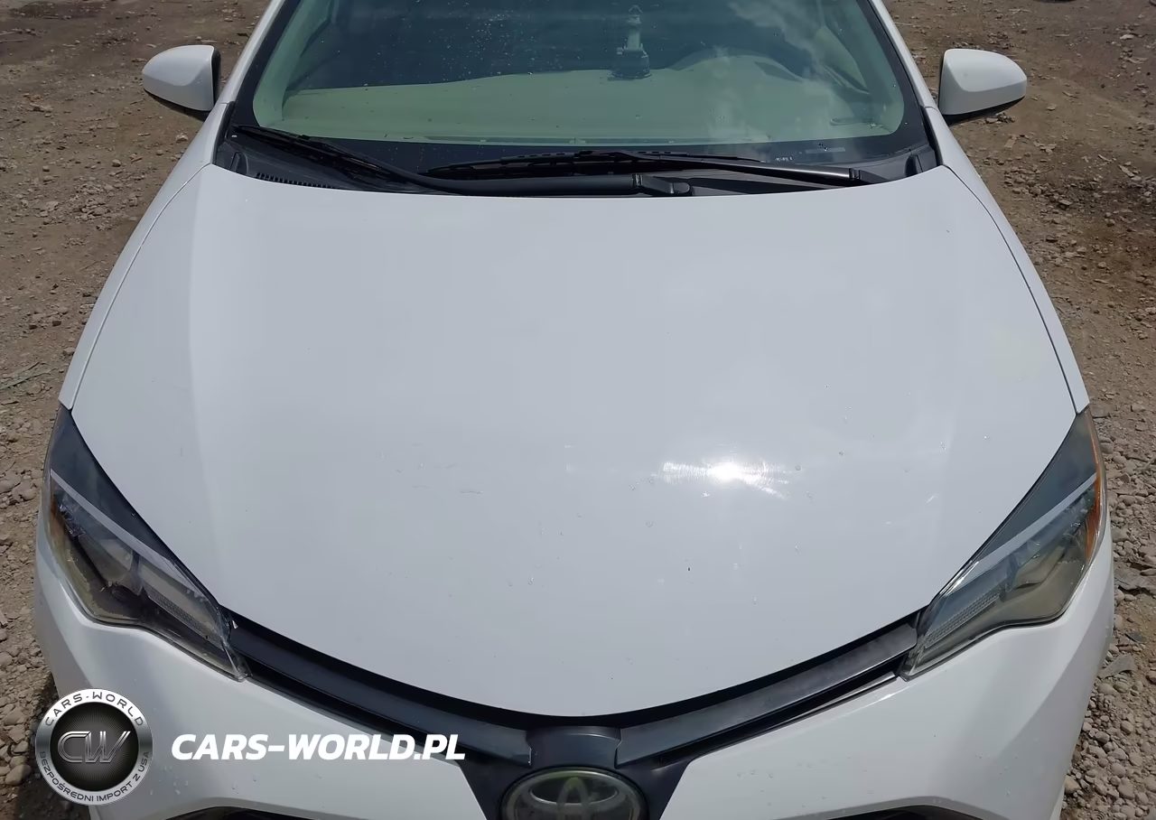 2019 Toyota Corolla Le VIN:5YFBURHE1KP946831 - 10