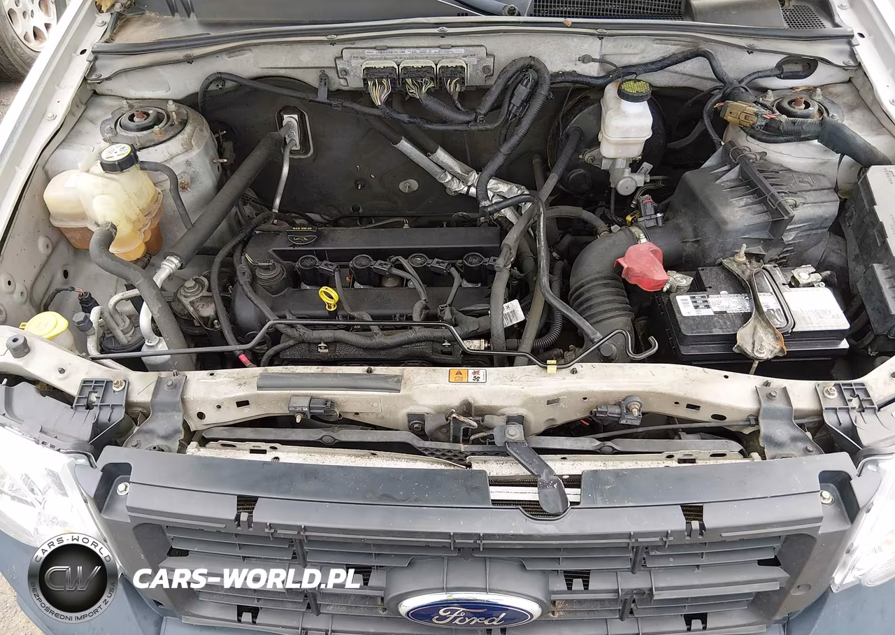 2010 Ford Escape Xlt VIN:1FMCU0D72AKA78970 - 10