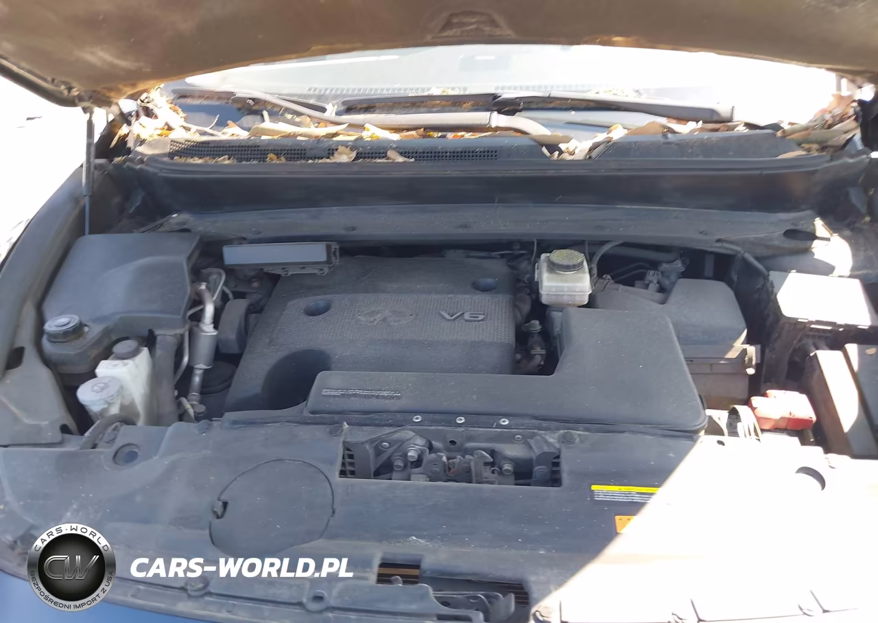 2015 Infiniti Qx60 VIN:5N1AL0MM3FC507969 - 10
