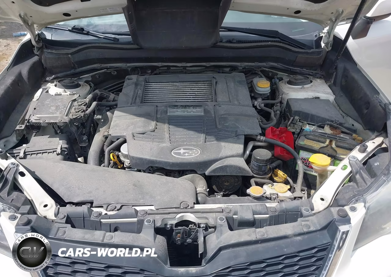 2014 Subaru Forester 2.0Xt Touring VIN:JF2SJGMCXEH431667 - 10