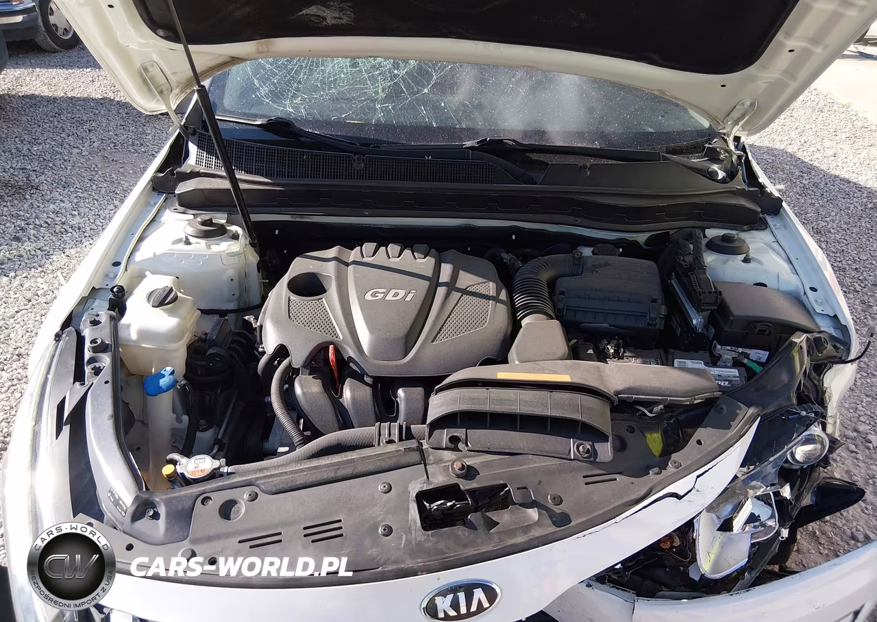 2015 Kia Optima Lx VIN:KNAGM4A74F5628660 - 10