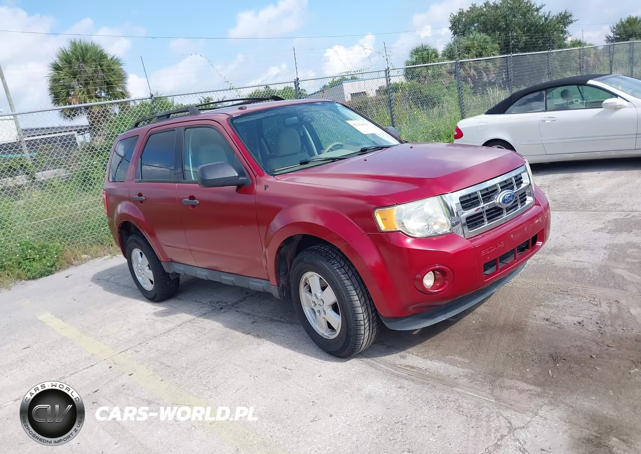 2011 Ford Escape Xlt VIN:1FMCU0DG6BKC54081 - 1