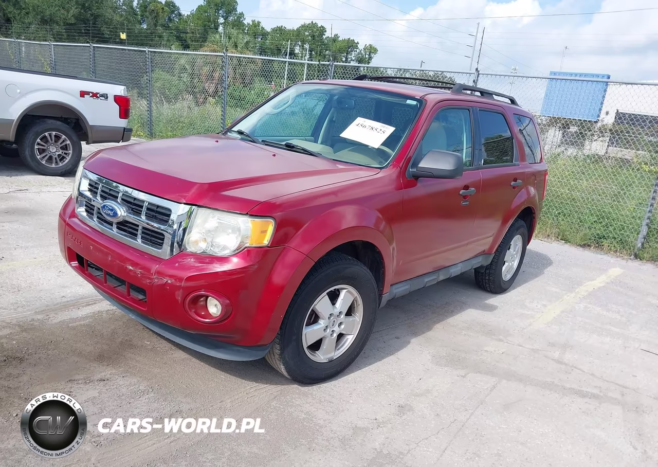 2011 Ford Escape Xlt VIN:1FMCU0DG6BKC54081 - 2