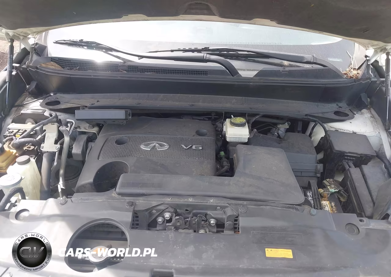 2014 Infiniti Qx60 VIN:5N1AL0MN4EC525601 - 10