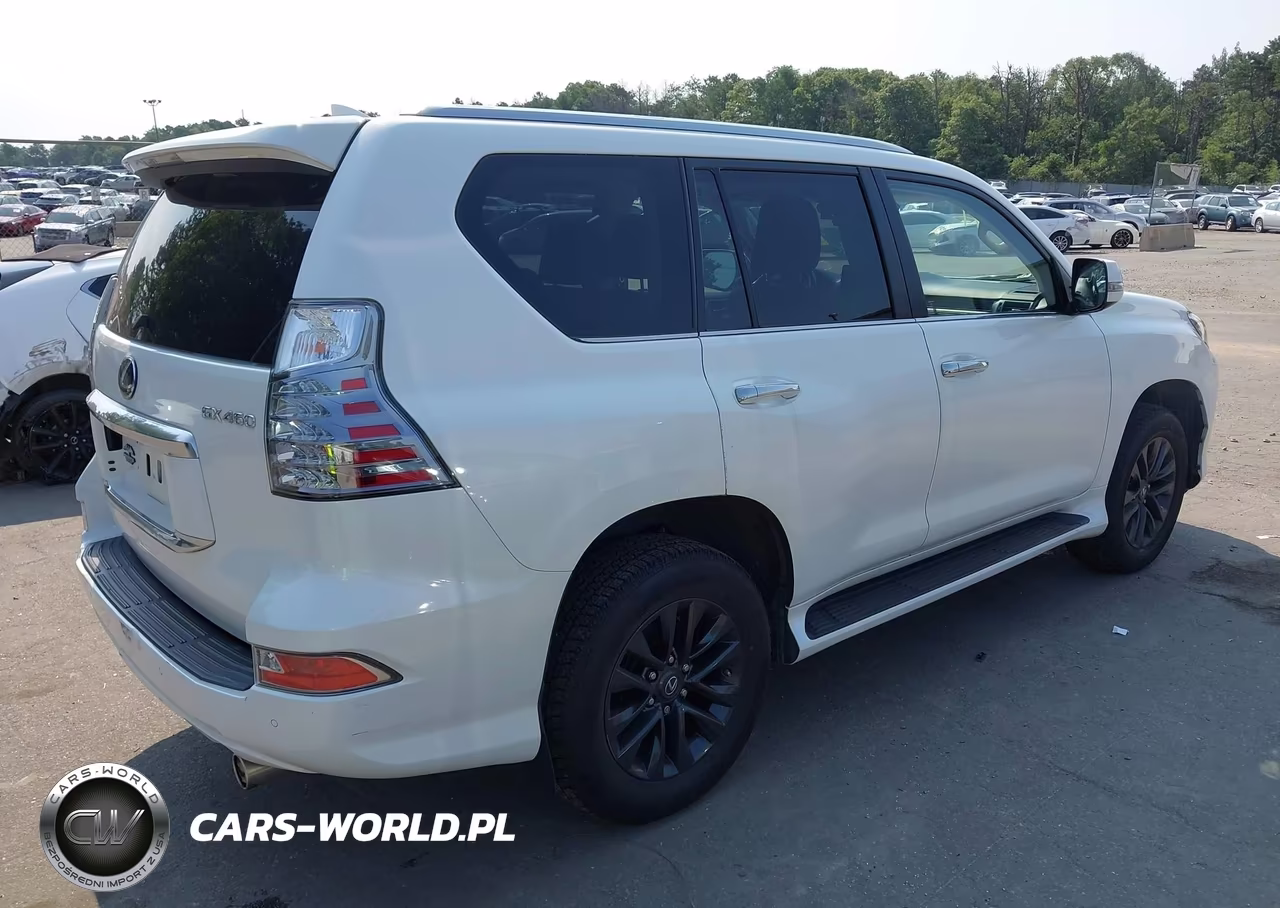 2022 Lexus Gx 460 Premium VIN:JTJAM7BX4N5327858 - 4