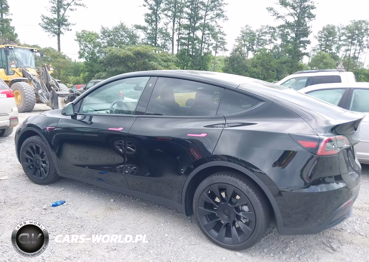 2023 Tesla Model Y Awd-Long Range Dual Motor All-Wheel Drive VIN:7SAYGDEE4PF698248 - 13