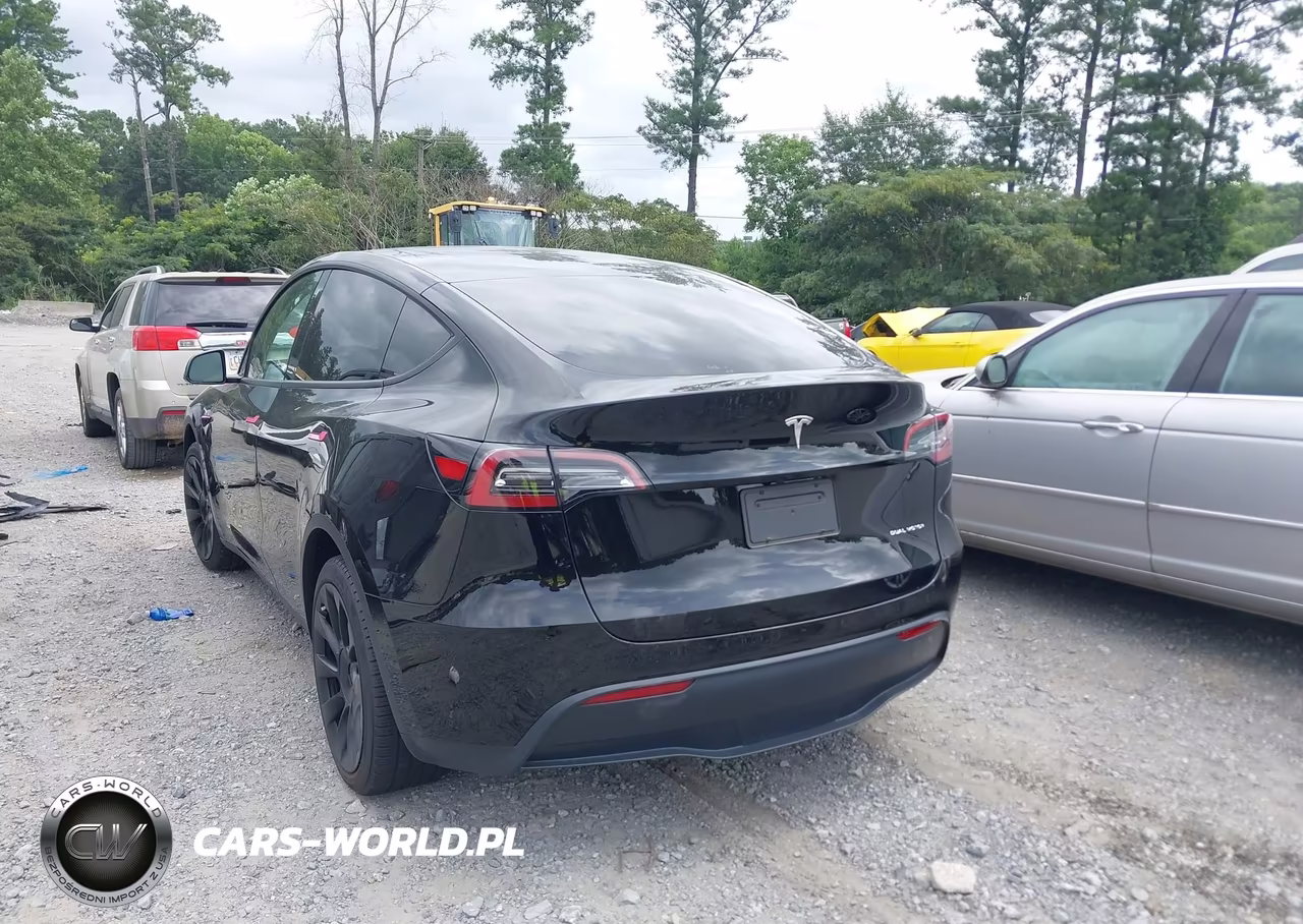 2023 Tesla Model Y Awd-Long Range Dual Motor All-Wheel Drive VIN:7SAYGDEE4PF698248 - 3