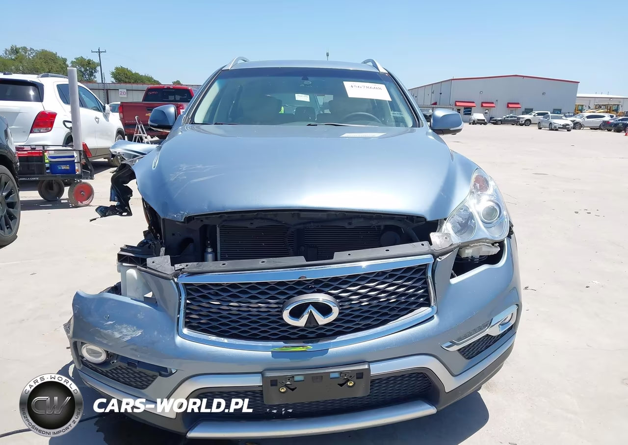 2017 Infiniti Qx50 VIN:JN1BJ0RP5HM387089 - 12