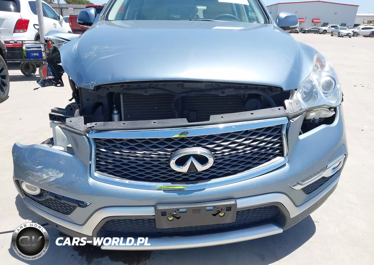 2017 Infiniti Qx50 VIN:JN1BJ0RP5HM387089 - 17